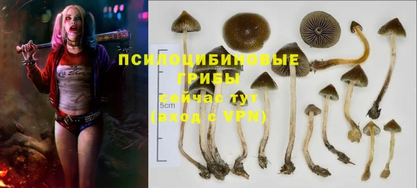 шишки Баксан