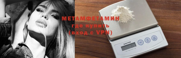 ПСИЛОЦИБИНОВЫЕ ГРИБЫ Богданович