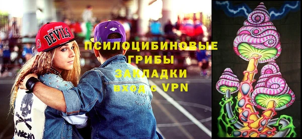 шишки Баксан
