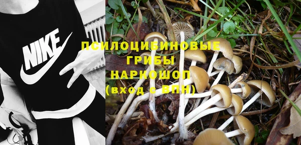 ПСИЛОЦИБИНОВЫЕ ГРИБЫ Богданович