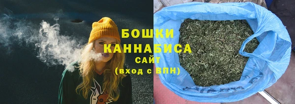 ПСИЛОЦИБИНОВЫЕ ГРИБЫ Богданович