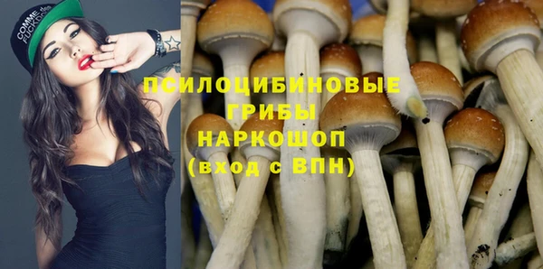 ALPHA PVP Богородицк
