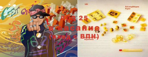 ПСИЛОЦИБИНОВЫЕ ГРИБЫ Богданович