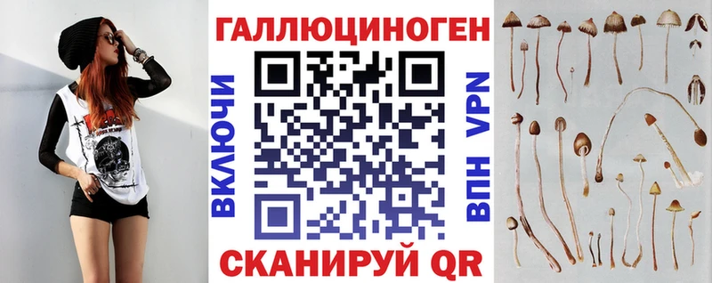 omg как войти  Хабаровск  Псилоцибиновые грибы мицелий 